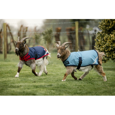 Horseware geiten deken 200g Horseware geiten deken 200g