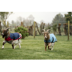 Horseware geiten deken 200g Horseware geiten deken 200g