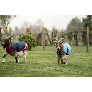 Horseware geiten deken 200g Horseware geiten deken 200g