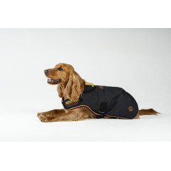 Hondenhoes Horseware Newmarket Witgoud Hondenhoes Horseware Newmarket Witgoud