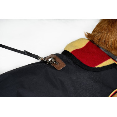 Hondenhoes Horseware Newmarket Hondenhoes Horseware Newmarket