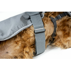 Hondenhoes Horseware Newmarket Houtskool witney Grijs