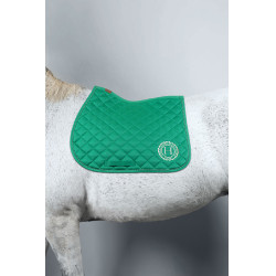 Zadeldoek Sunny en muts Funny Harcour pack Groen / lichtgoud