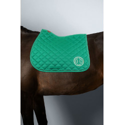 Zadeldoek Sunny en muts Funny Harcour pack Groen / lichtgoud