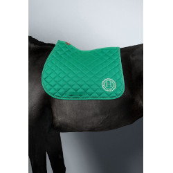 Zadeldoek Sunny en muts Funny Harcour pack Groen / lichtgoud