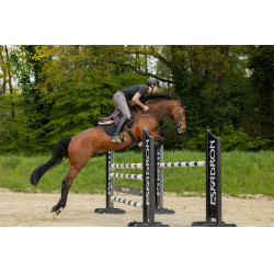 Broek Pikeur New Rodrigo Grip knieën 7603 Sport heren Staalgrijs