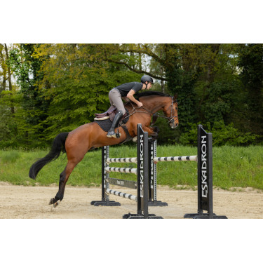 Broek Pikeur New Rodrigo Grip knieën 7603 Sport heren Staalgrijs