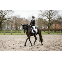 Handschoenen Horseware AA Platinium Zwart