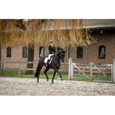 Handschoenen Horseware AA Platinium Zwart