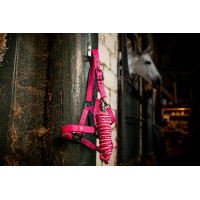 Halster en touw Horseware Newmarket Rose witney Roze Halster en touw Horseware Newmarket Rose witney Roze