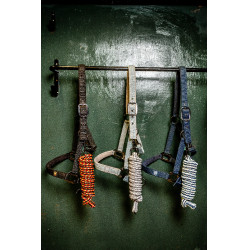 Halster en touw Horseware Newmarket Witgoud Halster en touw Horseware Newmarket Witgoud