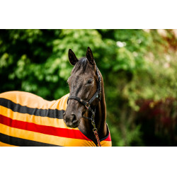 Halster en touw Horseware Newmarket Witgoud Halster en touw Horseware Newmarket Witgoud