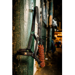 Halster en touw Horseware Newmarket Witgoud Halster en touw Horseware Newmarket Witgoud