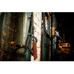 Halster en touw Horseware Newmarket Witgoud Halster en touw Horseware Newmarket Witgoud