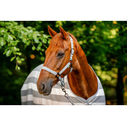 Halster en touw Horseware Newmarket Houtskool witney Grijs Halster en touw Horseware Newmarket Houtskool witney Grijs