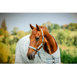 Halster en touw Horseware Newmarket Houtskool witney Grijs Halster en touw Horseware Newmarket Houtskool witney Grijs