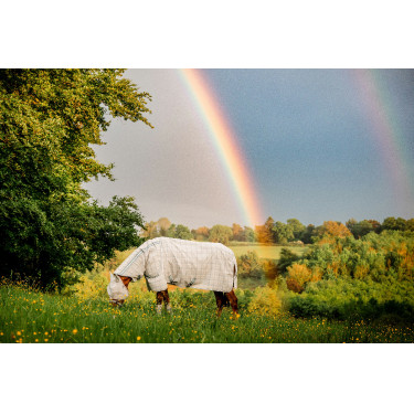 Horseware Newmarket vliegenmaskers Houtskool witney Grijs Horseware Newmarket vliegenmaskers Houtskool witney Grijs