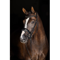 Neusriem Covalliero Zwart gelakt