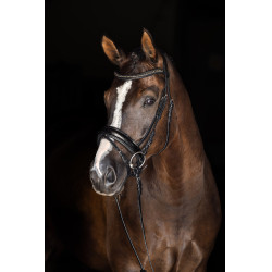 Neusriem Covalliero Zwart gelakt