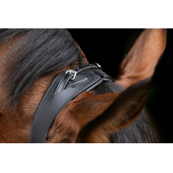 Anatomisch hoofdstel Covalliero Zwart