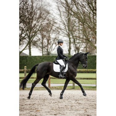 Wedstrijdjas Horseware AA Platinium Motion Flex Pro Wedstrijdjas Horseware AA Platinium Motion Flex Pro