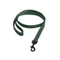 Laat Kentucky voor hond Hagedis Olijfgroen Laat Kentucky voor hond Hagedis Olijfgroen