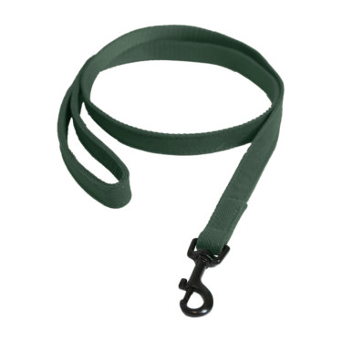 Laat Kentucky voor hond Hagedis Olijfgroen Laat Kentucky voor hond Hagedis Olijfgroen