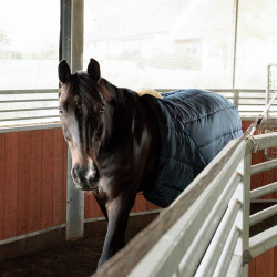 Wandel-surcingle van Kentucky in nylon Zwart