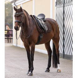 Vliegenkap Nepal Waldhausen Bruin Vliegenkap Nepal Waldhausen Bruin