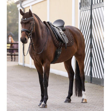 Vliegenkap Nepal Waldhausen Bruin Vliegenkap Nepal Waldhausen Bruin