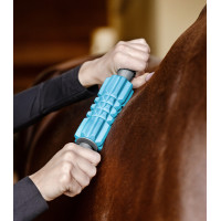 Massage rollen Waldhausen Health + Care Blauw Massage rollen Waldhausen Health + Care Blauw