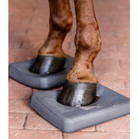 Waldhausen Health + Care Balance zooltjes Grijs