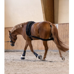 Waldhausen achterhands lichaamsbandage Zwart Waldhausen achterhands lichaamsbandage Zwart