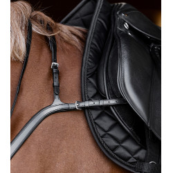 Waldhausen X-Line borsttuig met lange brug Bruin Waldhausen X-Line borsttuig met lange brug Bruin