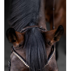 Waldhausen X-Line Relaxation hoofdstel met anatomische neusriem Bruin