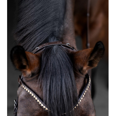 Waldhausen X-Line Relaxation hoofdstel met anatomische neusriem Bruin