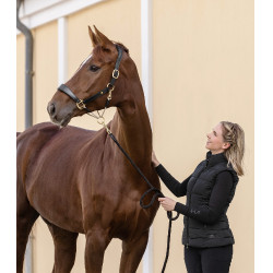 Lederen halster Waldhausen S-Line Royal Zwart Lederen halster Waldhausen S-Line Royal Zwart