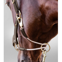 Lederen halster Waldhausen S-Line Royal Bruin