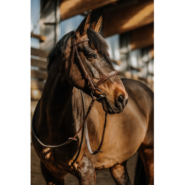 Norton Hunter comfortabele hoofdstel