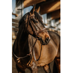 Norton Hunter comfortabele hoofdstel Bruin