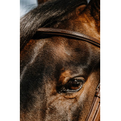 Norton Hunter comfortabele hoofdstel Bruin