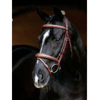 LeMieux Competition gecombineerde hoofdstel Kastanjebruin