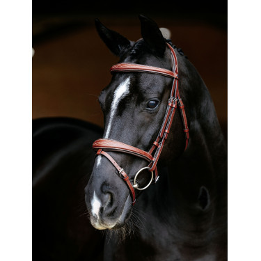 LeMieux Competition gecombineerde hoofdstel Kastanjebruin LeMieux Competition gecombineerde hoofdstel Kastanjebruin