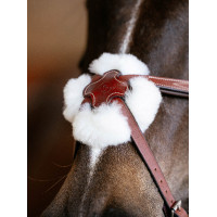 Bridon LeMieux Grackle Havana Bruin