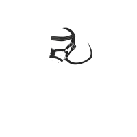 LeMieux Toy Pony hoofdstel met Mexicaanse neusriem Zwart