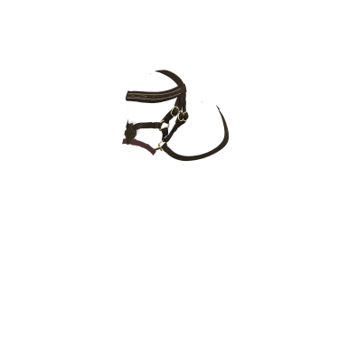 LeMieux Toy Pony hoofdstel met Mexicaanse neusriem Bruin