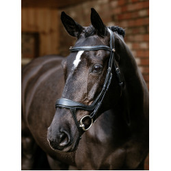 Arika LeMieux hoofdstel met gespleten neusriem Zwart