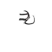 Hunter hoofdstel LeMieux speelgoedpony Bruin Hunter hoofdstel LeMieux speelgoedpony Bruin