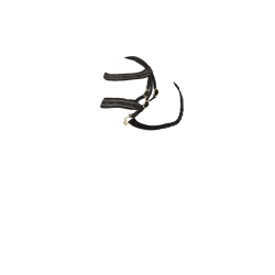 Hunter hoofdstel LeMieux speelgoedpony Bruin