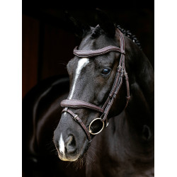 Bridon LeMieux Flash Contour Kudos Bruin